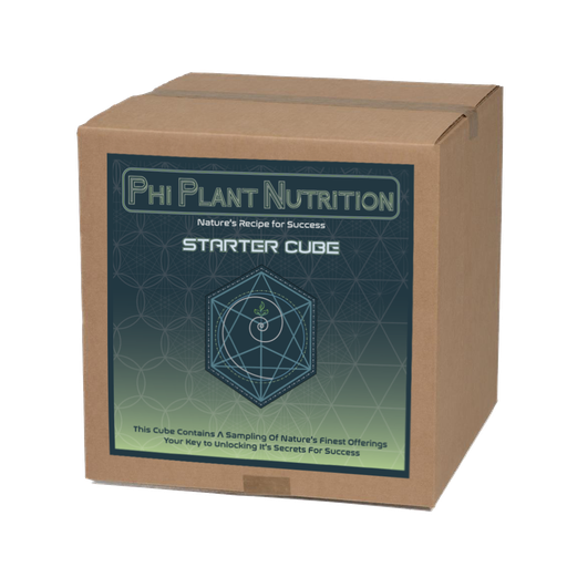 [STRTCUBE] Phi Plant Nutrition Starter Cube